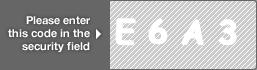 captcha code for visual authentication  letter E number 6 letter A number 3